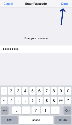 entering your phone passcode into the openvpn app