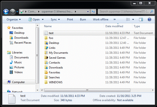 N: or Z: drive file explorer window
