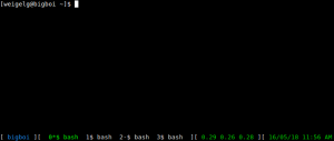 screen_1 Image Showing the Linux Prompt on a CAT Server