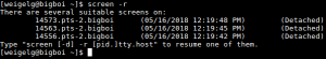 screen_2 Image Showing 3 Open Screen Sessions on a CAT Server