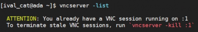 output when vncserver -list is run and there is an existing vnc session running