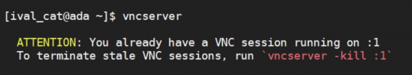 Terminal output if vncserver is already running