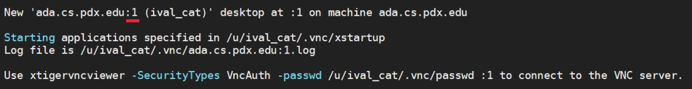 Start – vnc start Output when VNC successfully starts up