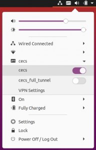 Ubuntu 20.04 MCECS OpenVPN Interface