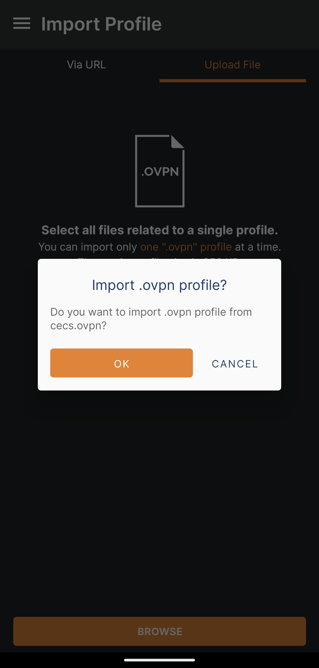 Screenshot of the OpenVPN app. A popup is open.