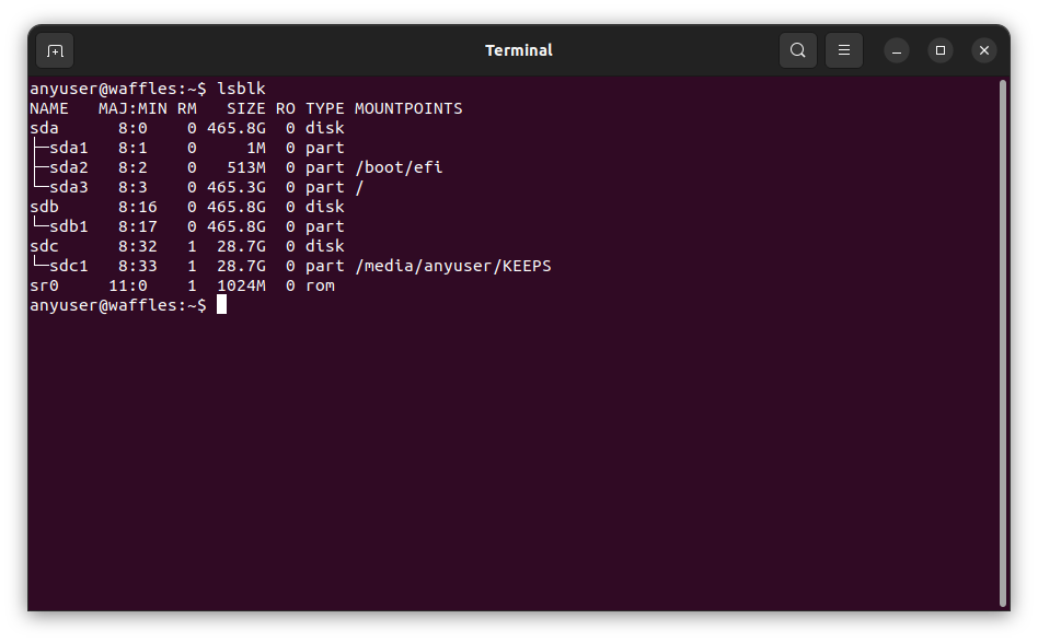 The output of the lsblk command in the Ubuntu Terminal